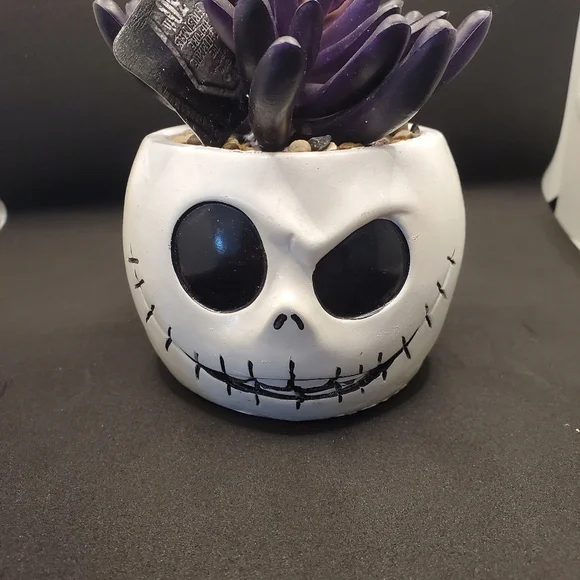 Nightmare before Christmas succulent decor - Picture 5 of 7